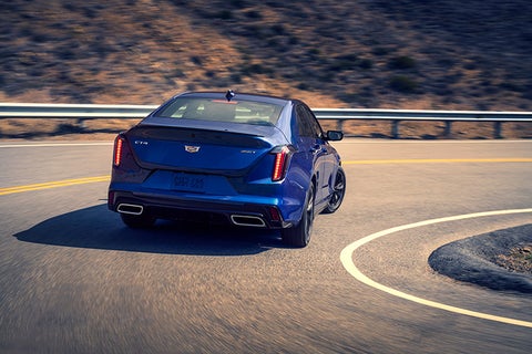 Randy Marion Cadillac Jacksonville