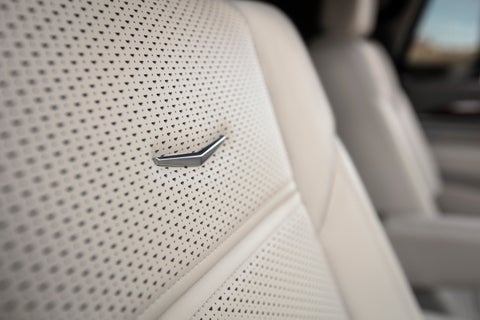 Randy Marion Cadillac Jacksonville in Jacksonville FL